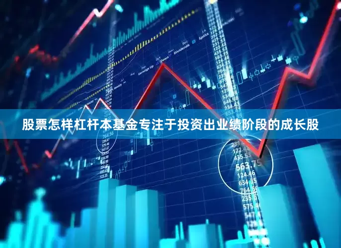 股票怎样杠杆本基金专注于投资出业绩阶段的成长股