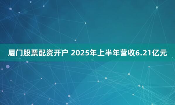 厦门股票配资开户 2025年上半年营收6.21亿元