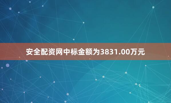 安全配资网中标金额为3831.00万元